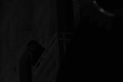 IMG_4919
