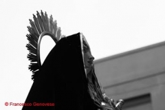 IMG_3982