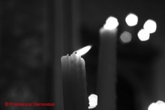 IMG_1517