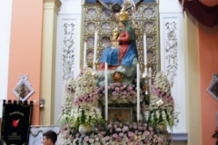 DSCF3924
