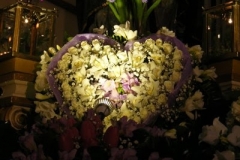 DSCF0739